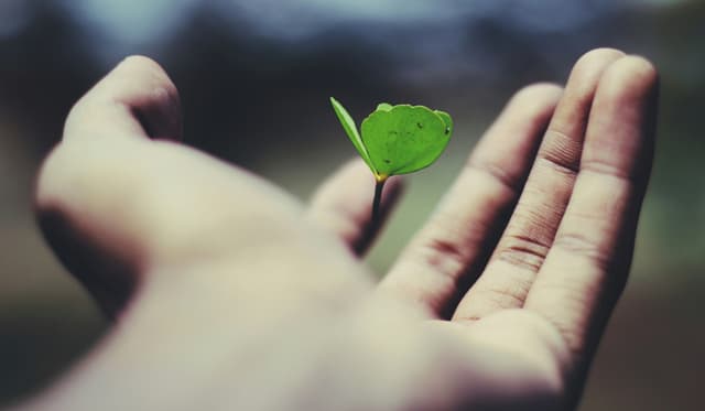 5 coisas que a ciência já descobriu sobre a origem da vida na Terra
